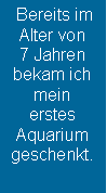 Textfeld:  Bereits im 
Alter von
7 Jahren
bekam ich
mein
erstes 
Aquarium
geschenkt. 