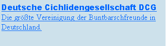 Textfeld: Deutsche Cichlidengesellschaft DCGDie größte Vereinigung der Buntbarschfreunde in Deutschland.